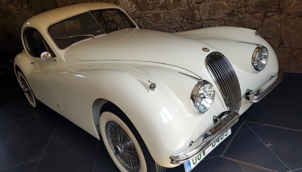 20220516_115500 - cropped