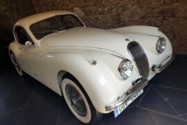 20220516_115500 - cropped