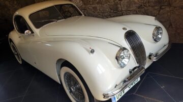 20220516_115500 - cropped