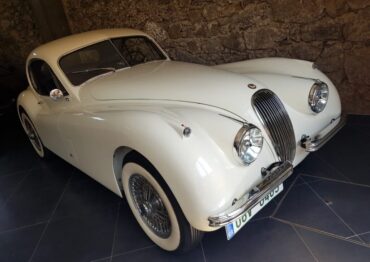 20220516_115500 - cropped