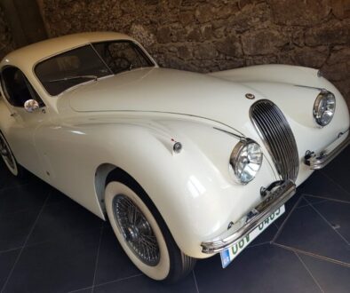 20220516_115500 - cropped