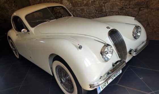 20220516_115500 - cropped