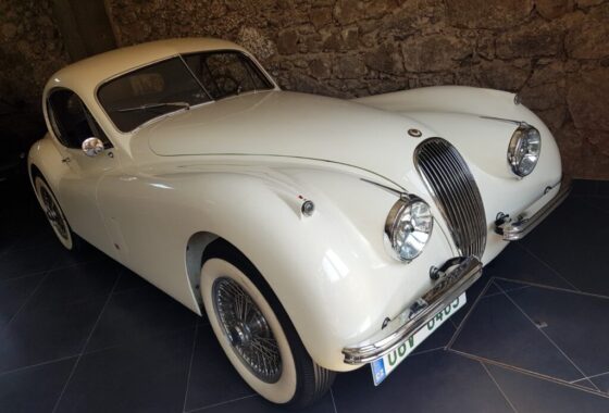 20220516_115500 - cropped