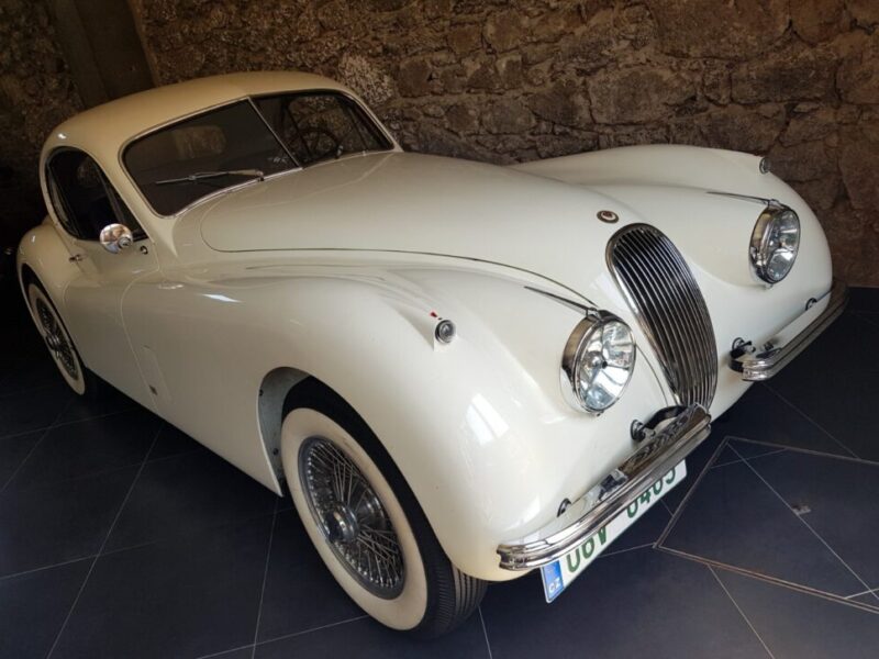 20220516_115500 - cropped